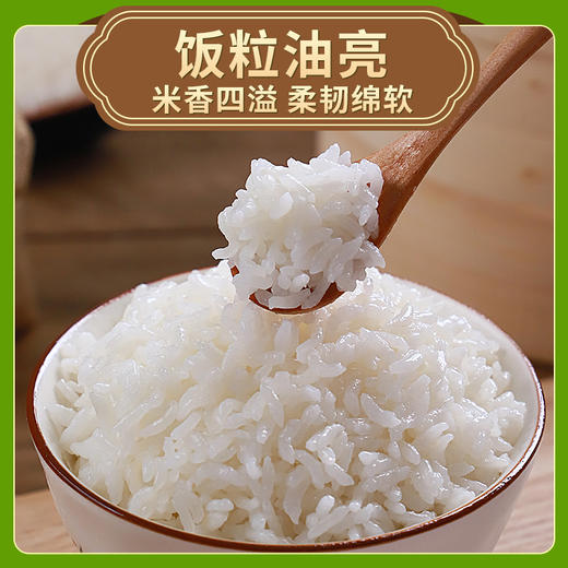 凌老师大米礼盒  5kg*1 商品图2