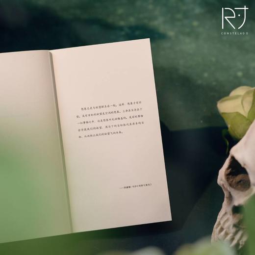 萨乌达德 2019年澳大利亚总理文学奖/2020年阿德莱德文学节奖入围作品 商品图4