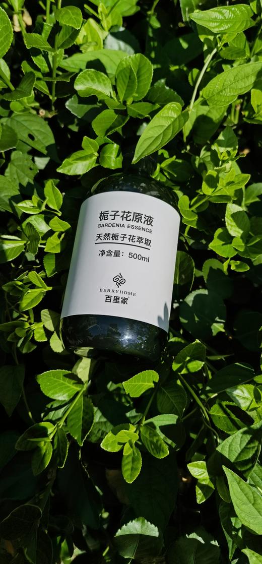 栀子花细胞液 栀子花原液 精华水 天然护肤保湿水 天然无污染的栀子花岛有机栀子花萃取 无任何不良添加 |百里居 商品图4