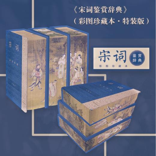 宋词鉴赏辞典 彩图珍藏特装版 共三册 宋辽金经典词作 商品图0