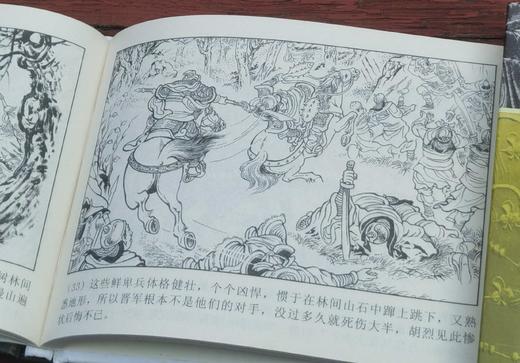 《两晋五胡风云录》，24册，精装，辜国兴、王瑜、韩弘力、李明等绘，黑龙江人民美术+天津人民美术出版社2023年一版，售价289元。 商品图14