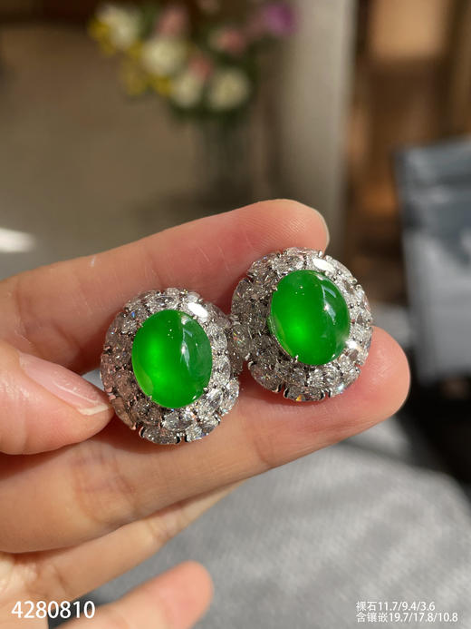 老坑玻璃种艳绿蛋面耳钉【4280810】具体价格微信咨询 商品图3