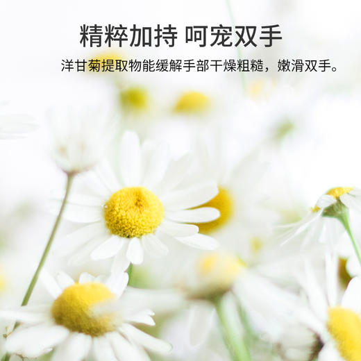 【抵御秋冬干燥！洋甘菊护手霜】保湿防干裂，补水嫩肤，冬滋润芳香。融植物精华，温柔呵护双手。瓶装套盒保湿滋润秋冬植物花香补水护手霜特价清仓 商品图2