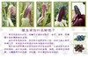 玉米兄弟®有机黑&黄糯玉米，拆袋开水煮15分钟即使，软糯香到极致。 商品缩略图9