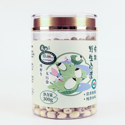 有机莲子 采集的野生莲子  红莲，白莲可选 来洞庭湖君山岛野生荷花聚生地 商品图0