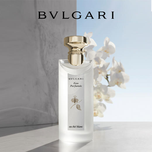 宝格丽 白茶女士淡香水75ml 商品图1