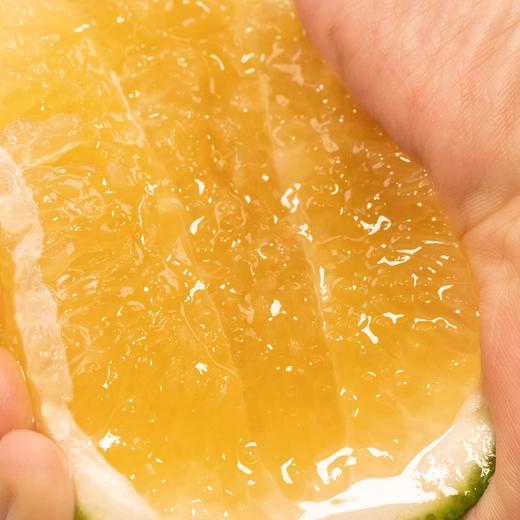 杞冠臻选 | 礼享柚·青柚 礼盒装 买5斤送3斤皮薄肉嫩 汁水丰富 顺丰京东随机发货 商品图2