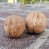 【自营】新疆阿克苏185纸皮核桃500g*5袋 商品缩略图3