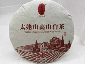 太姥山高山白茶