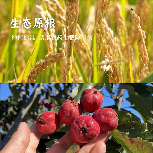【山楂元气饮】| 元和优选 满满醪糟营养 自然果香 自然农法山楂，有机白糯米 商品图5