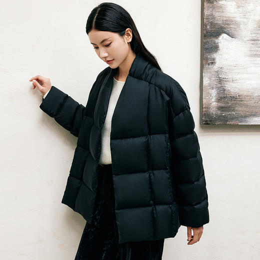 玳莎新中式立领鹅绒服女2024年冬季新款保暖磁吸扣设计感羽绒服  ED41302 商品图2