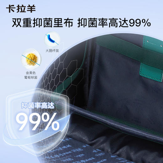 【云朵书包3.0轻盈版】卡拉羊六维防下坠小学1-6年级18L/20L云朵书包 卓越 CX2230+CX2700 商品图4