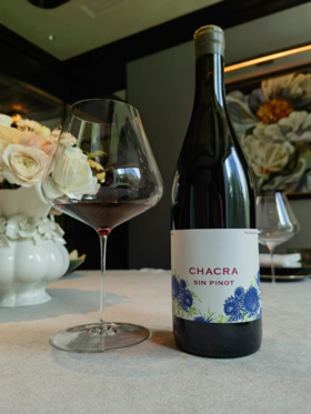施语花酒庄45自然无皮诺马尔贝克干红葡萄酒2022 Chacra Cuarenta y Cinco Sin Azufre Sin Pinot Malbec 2022