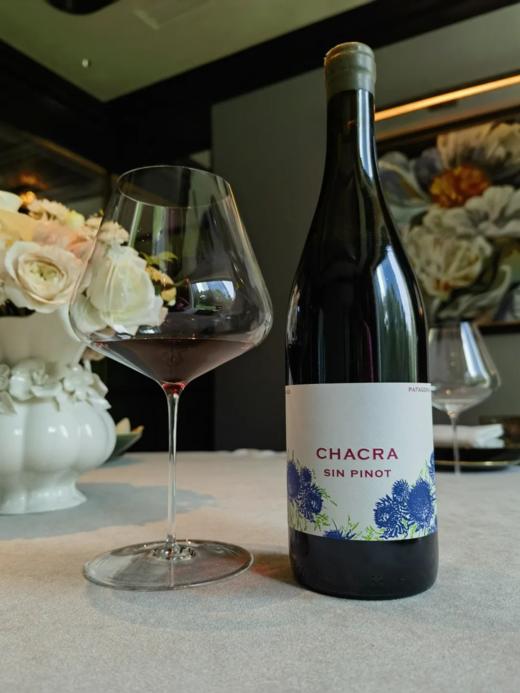 施语花酒庄45自然无皮诺马尔贝克干红葡萄酒2022 Chacra Cuarenta y Cinco Sin Azufre Sin Pinot Malbec 2022 商品图0