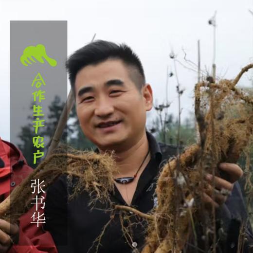 生态山药（峨眉山 ）| 合作生产*Ecological yam | Coproduction 商品图2