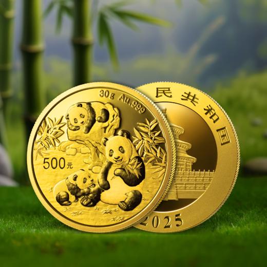 2025年熊猫普制金币 带盒 商品图6