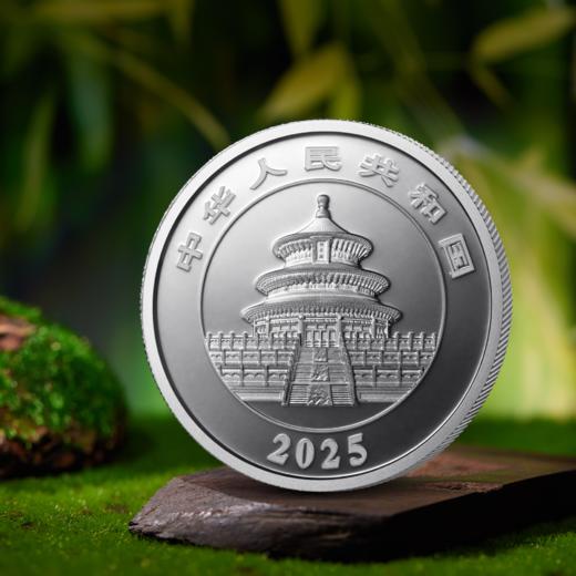 2025年熊猫30克普制银币 带盒 商品图3