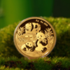 2025年熊猫普制金币 带盒 商品缩略图3
