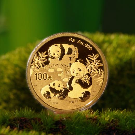 2025年熊猫普制金币 带盒 商品图3