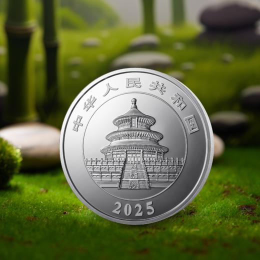 2025年熊猫30克普制银币 带盒 商品图1