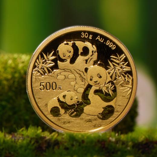 2025年熊猫普制金币 带盒 商品图5