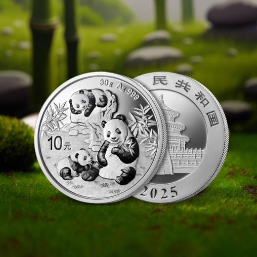 2025年熊猫30克普制银币 带盒 商品图3