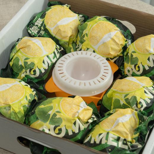 杞冠臻选 | 礼享柚·青柚 礼盒装 买5斤送3斤皮薄肉嫩 汁水丰富 顺丰京东随机发货 商品图4