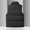 【羽绒】【新款DKP】大依优型大码男装立领羽绒马甲简约休闲宽松外套男坎肩背心上衣保暖 商品缩略图2