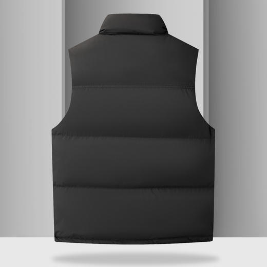 【羽绒】【新款DKP】大依优型大码男装立领羽绒马甲简约休闲宽松外套男坎肩背心上衣保暖 商品图2