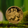2025年熊猫普制金币 带盒 商品缩略图4