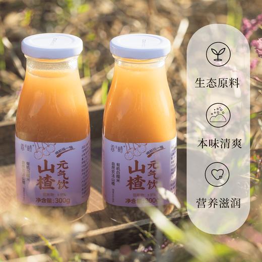 【山楂元气饮】| 元和优选 满满醪糟营养 自然果香 自然农法山楂，有机白糯米 商品图2