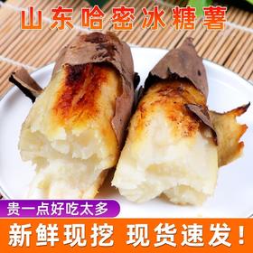 【香甜软糯！山东白哈密薯】用心种植的哈蜜薯，原产地新鲜现挖，外皮薄如蝉翼，皮薄易撕，恰到好处的香甜，新鲜红薯番地瓜，白糖心蜜薯L