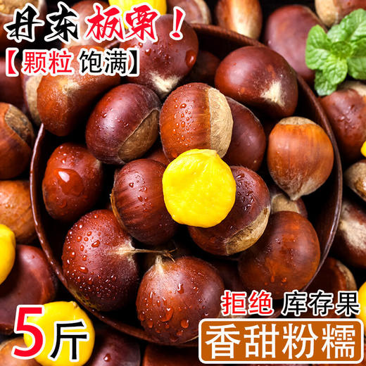 【颗颗饱满！新货丹东生板栗】煮、炒、榨或炖，口感百般滋味新。 板栗果实饱满，外皮生毛，内核饱满肥美。新鲜应季生毛栗子非云南板栗L 商品图0