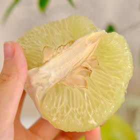 拍4斤送1斤||雪峰山柠檬香柚 微微的柠檬香 脆嫩多汁多甜蜜 自然成熟老品种