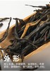 滇红茶 |  凤宁号 2024年 滇红庄园黄罐 一芽一叶原料 250g/罐 商品缩略图3