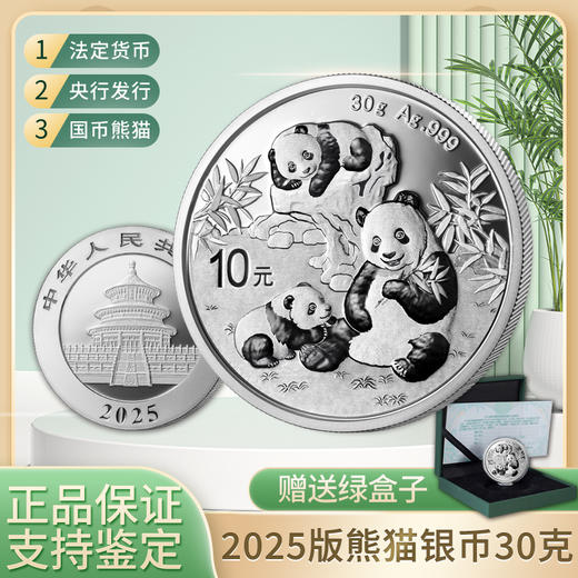 2025年熊猫银币30克 商品图0