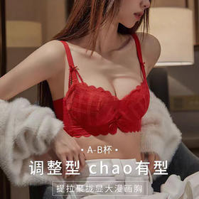 新款无痕内衣女小胸聚拢无钢圈收副乳调整型性感蕾丝本命年文胸罩