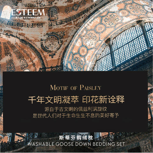 斯蒂芬可水洗鹅绒枕 商品图2