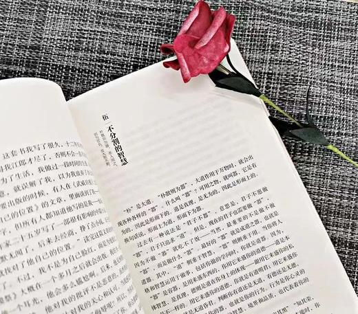 【老子的心事：雪煮《道德经》】（套装四册） 商品图3