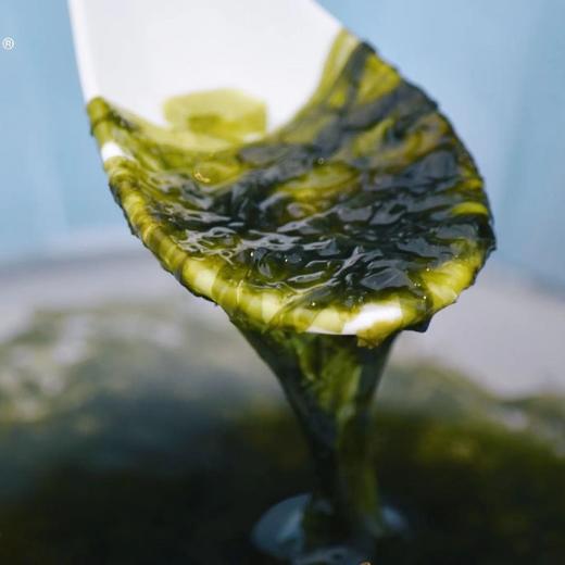 【第十季·紫菜妈妈有机头茬紫菜】福建霞浦有机头茬紫菜，它的“鲜”与“甜”入口瞬间，你便知与众不同！50g/包 商品图5