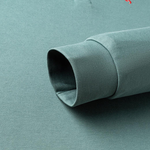 【精美刺绣 棉混纺】罗蒙春秋男装长袖POLO衫男士商务休闲打底翻领T恤男长袖 商品图13