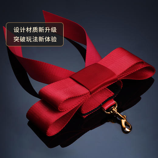 【UPKO】蝴蝶结床绑带套装 （全新自封式包装盒） 商品图5