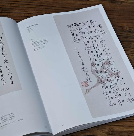 重磅推荐！！《林散之全集》，精装，8开，全7册，两箱，林散之著，王冬龄、黄啸主编，湖南美术出版社2024年5月一版一印，定价6800，售价：5504元。 商品图4