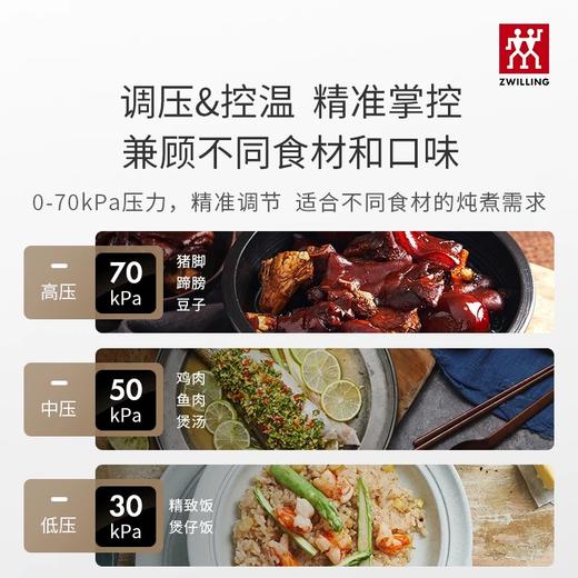 【厨具特推】双立人3L智能多功能电压力锅 商品图1