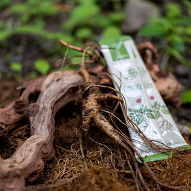 人参浓缩液 | 林下山参，熬煮提取，真空杀菌