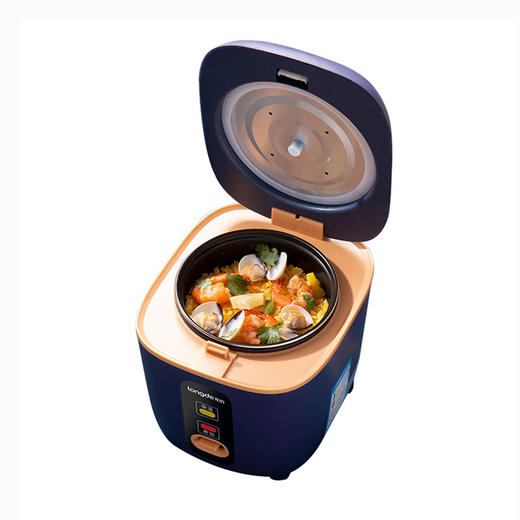 龙的迷你电饭煲LD-FS12B 商品图1