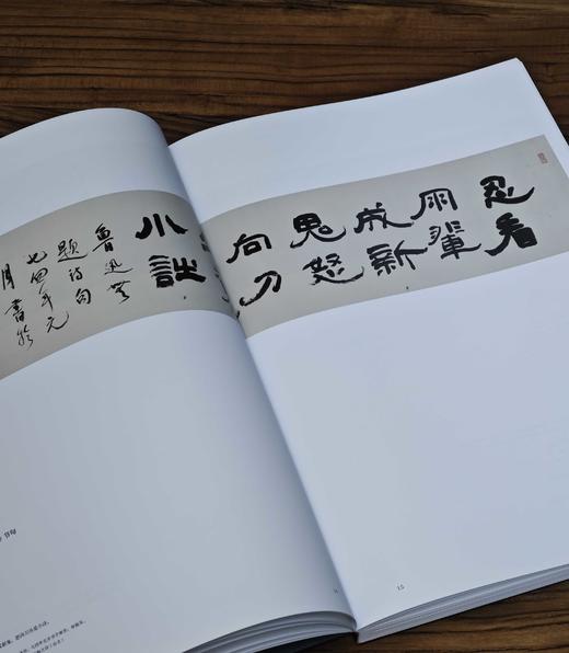 重磅推荐！！《林散之全集》，精装，8开，全7册，两箱，林散之著，王冬龄、黄啸主编，湖南美术出版社2024年5月一版一印，定价6800，售价：5504元。 商品图6