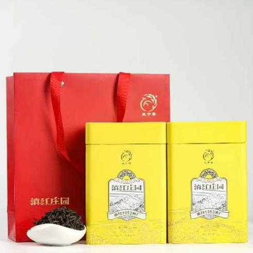 滇红茶 |  凤宁号 2024年 滇红庄园黄罐 一芽一叶原料 250g/罐 商品图2
