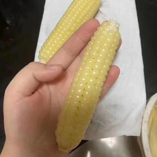 丨生态丨傣家拇指小糯玉米 商品图1