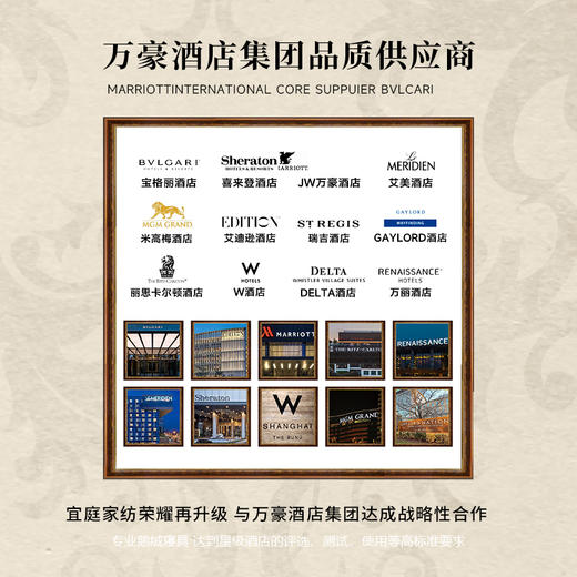 唐顿庄园大白鹅子母被 商品图4